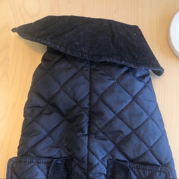 Small Dog Puffer Vest with Corduroy collar navy - Picture 3 of 4